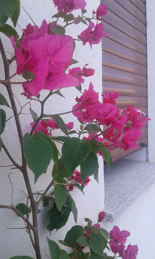 Alma Bed&Breakfast Sennariolo Dış mekan fotoğraf