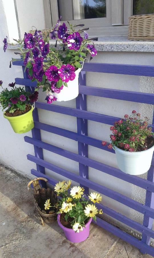 Alma Bed&Breakfast Sennariolo Dış mekan fotoğraf