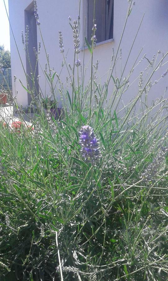 Alma Bed&Breakfast Sennariolo Dış mekan fotoğraf